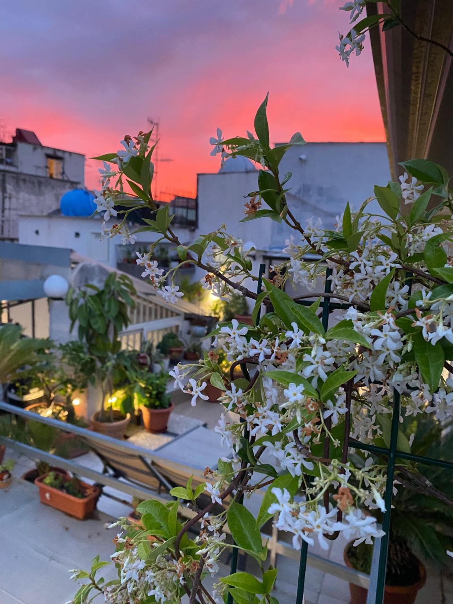 Casa Franzese Bed & Breakfast Napoli Ngoại thất bức ảnh